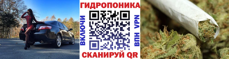 Купить наркотики сайты Минеральные Воды Бошки Шишки Галлюциногенные грибы Гашиш Меф мяу мяу
