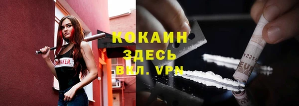 гидра Богородск