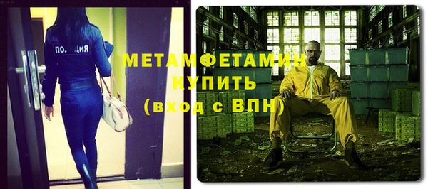 гидра Богородск