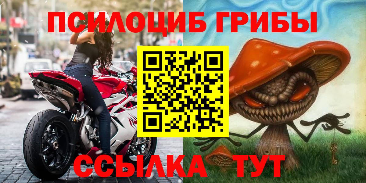 Галлюциногенные грибы Psilocybine cubensis  Вход с VPN  Минеральные Воды 