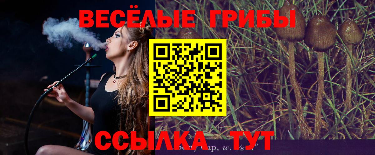 Псилоцибиновые грибы мицелий Минеральные Воды